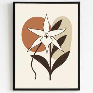 Étoile de Madagascar – Orchidée sacrée