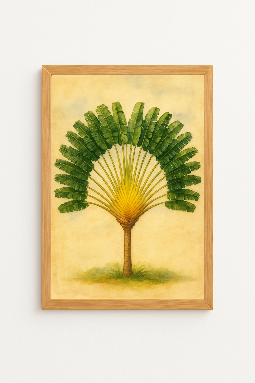 Ravinala majestueux – Le voyageur de Madagascar